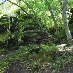 Гайдамацький яр